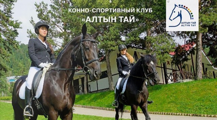 Конный клуб "Алтын Тай" Конный клуб "Алтын Тай"
