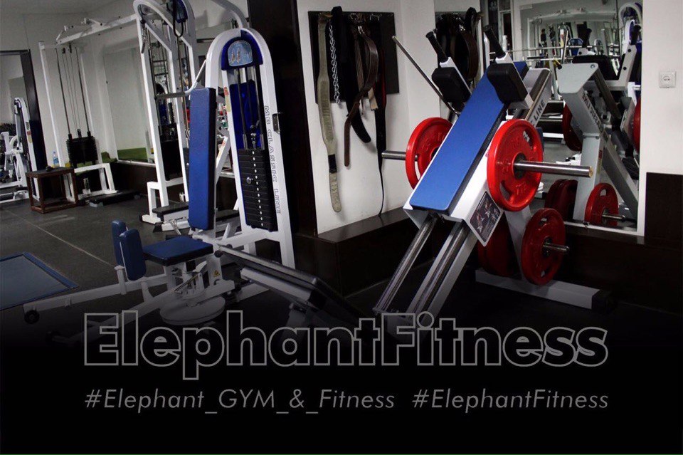 Тренажерный зал "Elephant" Тренажерный зал "Elephant"